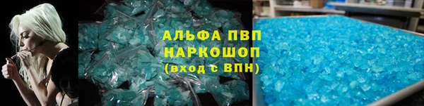 спиды Магас