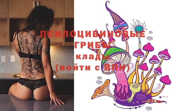 спиды Магас