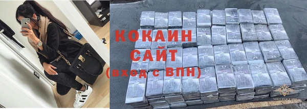 спиды Магас