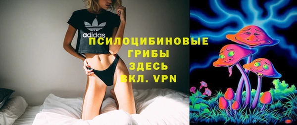 спиды Магас