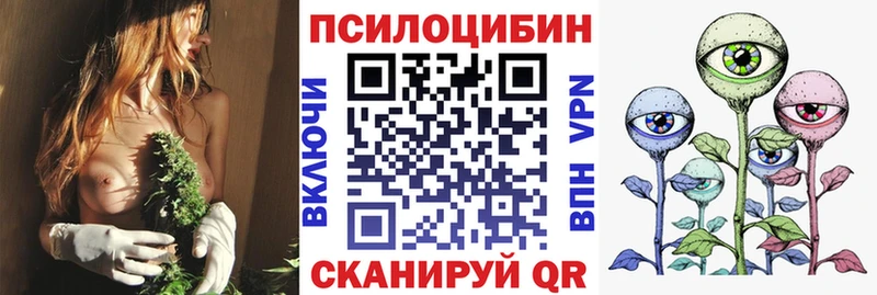 цены   Ростов-на-Дону  Галлюциногенные грибы Psilocybine cubensis 