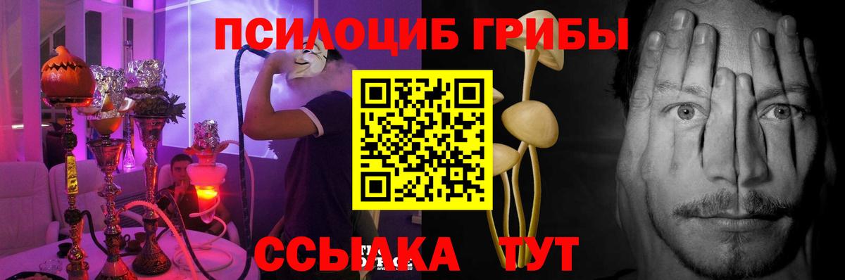 Псилоцибиновые грибы мицелий Ростов-на-Дону